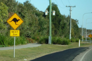 Population growth and wildlife come into conflict.