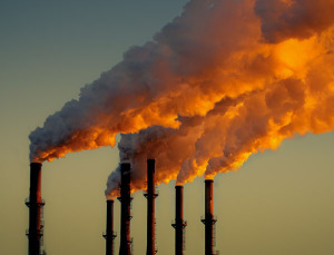 As fossil fuel prices rise, as oil insecurity deepens, and as concerns about pollution and climate instability cast a shadow over the future of coal, a new world energy economy is emerging.